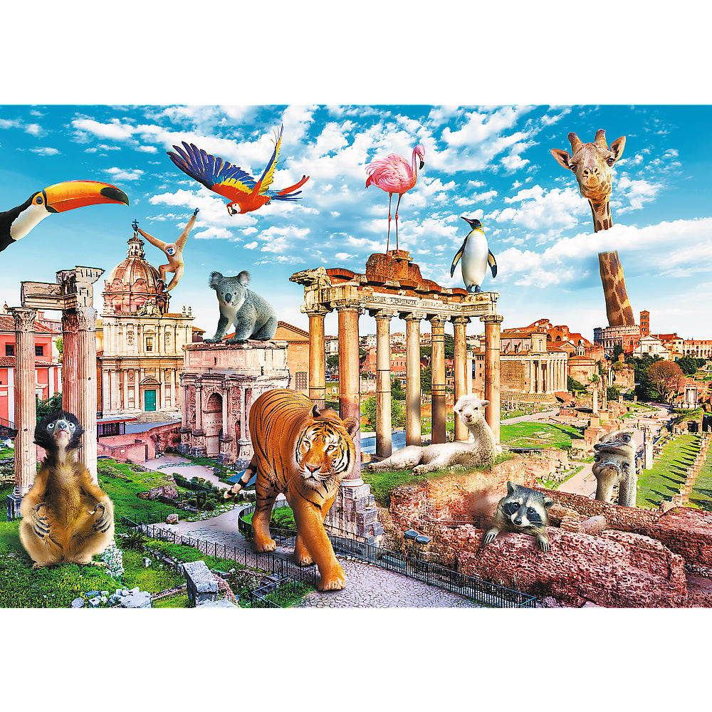 Puzzle 1000 orase amuzante roma salbatica