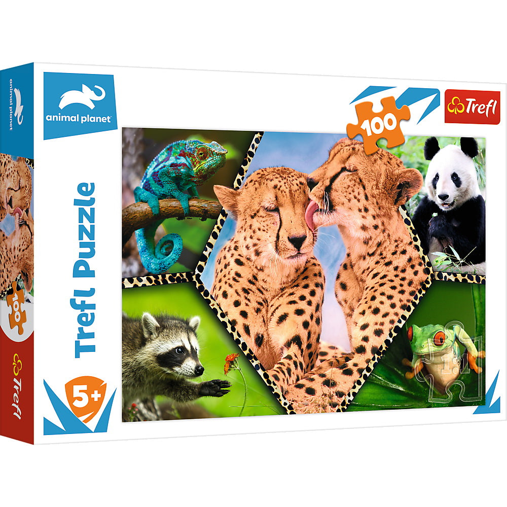 Puzzle trefl 100 natura frumoasa