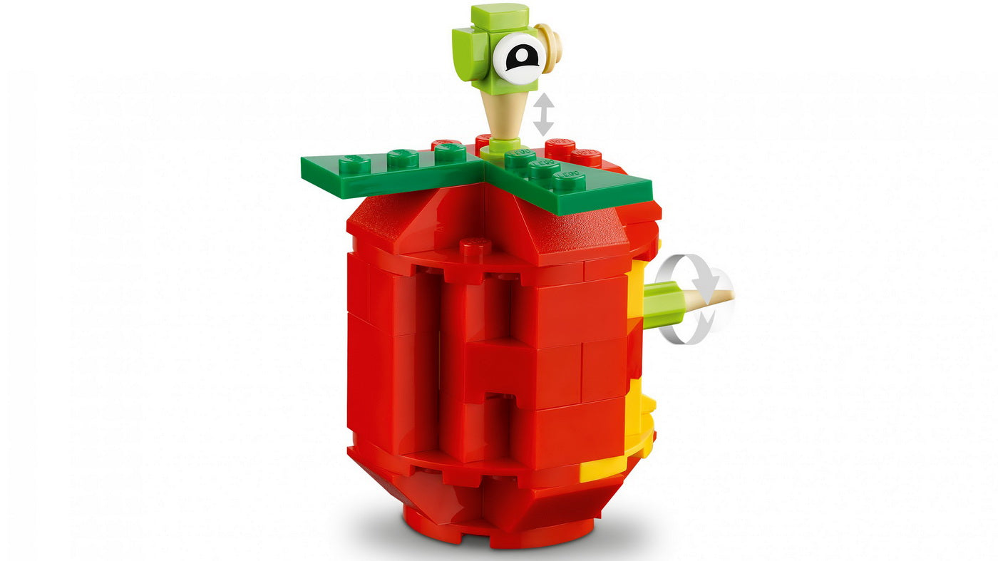 Lego classic caramizi si functii 11019