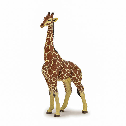 Papo figurina girafa mascul